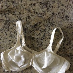Wacoal 40c underwire bra